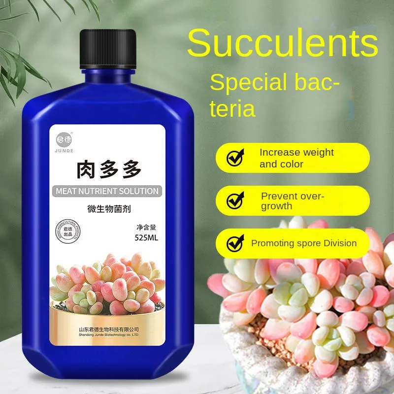多肉植物の栄養溶液肥育と着色破裂発根家庭用屋内および屋外の花多肉植物肥料