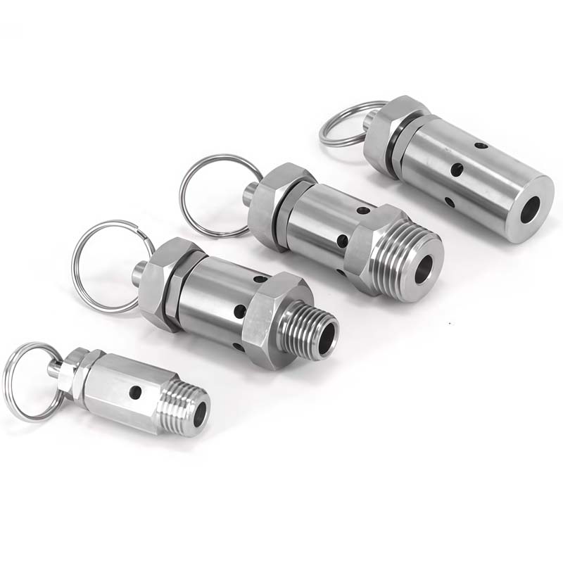 BSPT NPT 1/4 "1/2 "オスネジ 0.5-10 Bar 排気 304 ステンレス鋼 サニタリー ミニスプリング安全弁 エアコンプレッサー用