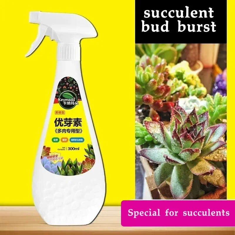 多肉植物オイゲニンの出芽促進、矮性脂肪、脚の長い有機顆粒の防止、多肉植物、多肉植物 300ml