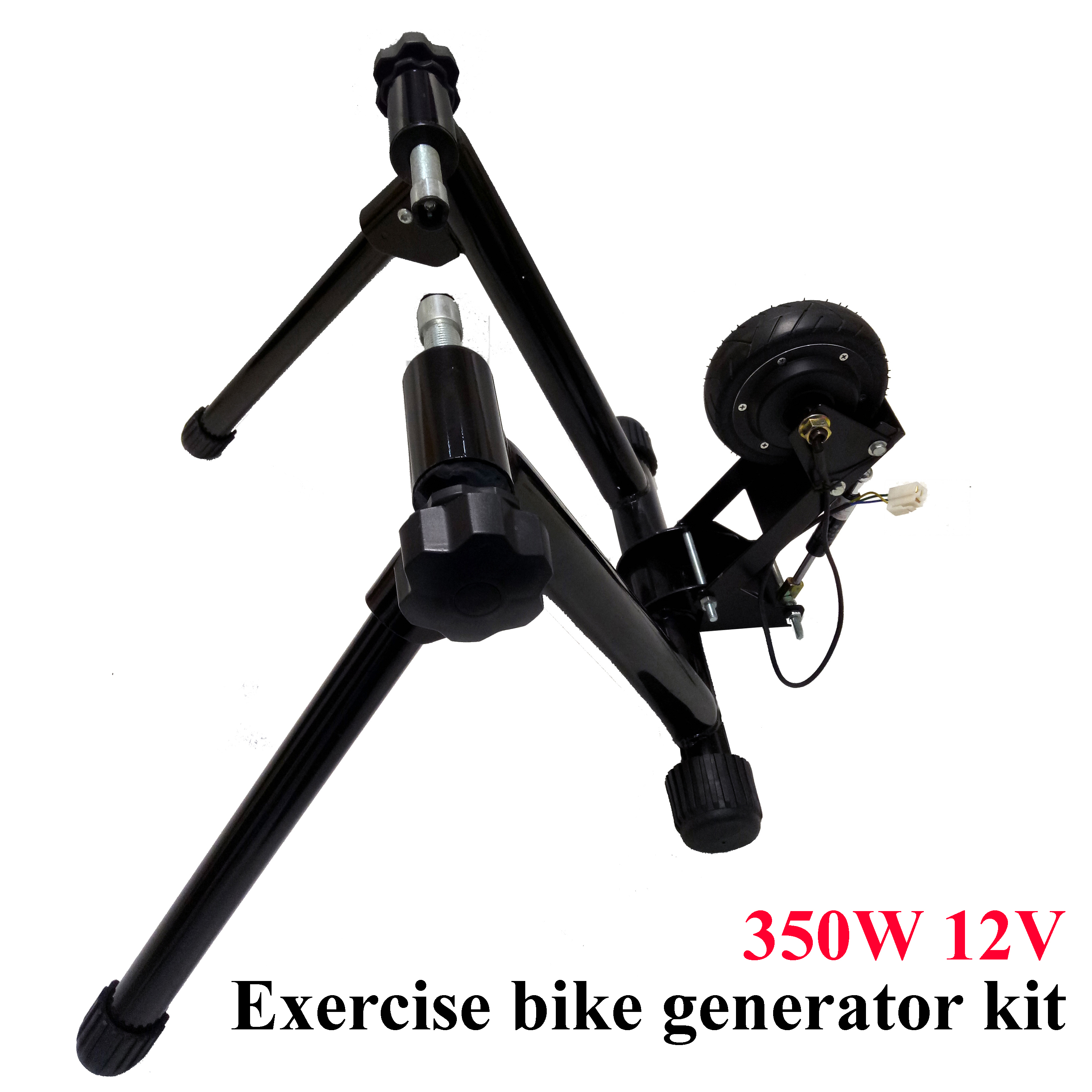 350 ワット 12V 低速レアアースブラシレス永久磁石発電機バイク生成緊急 DIY 電源