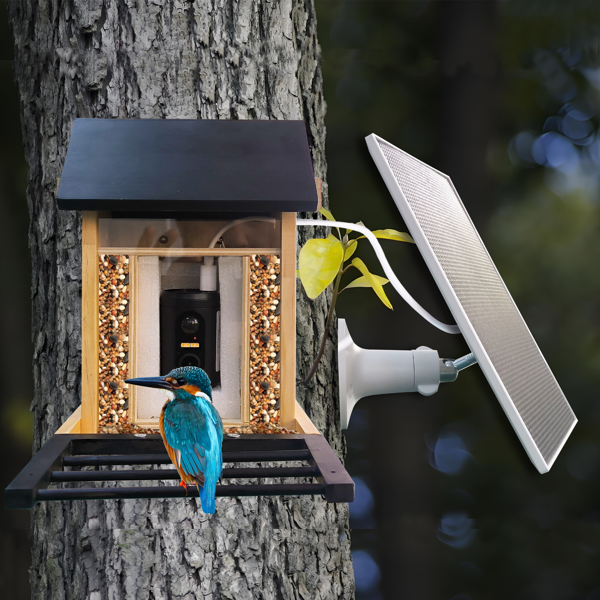 1080P 鳥の餌箱カメラ内蔵バッテリーソーラー低電力ナイトビジョン屋外 IP66 防水 2.4 グラム WIFI カメラ接続フィーダー