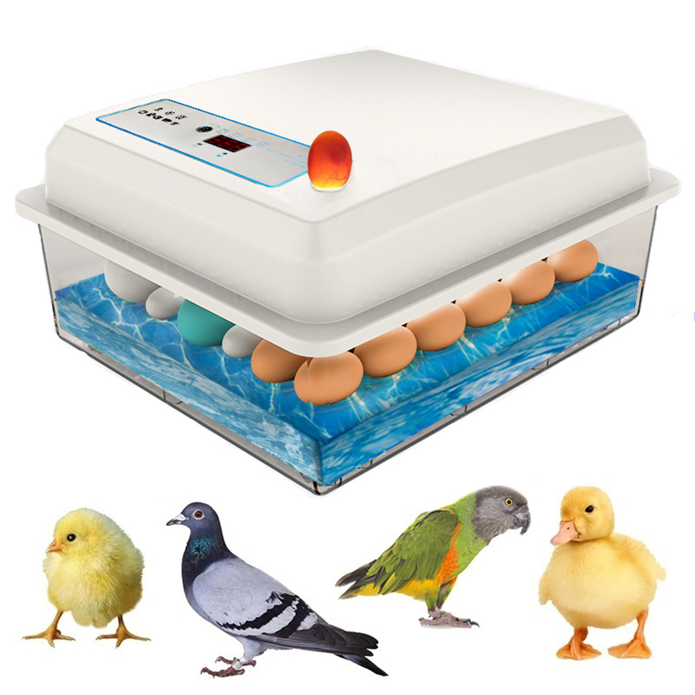 20 卵インキュベーターセット農場鶏アヒルガチョウ鳥卵孵化自動温度調整インキュベーター孵化卵ツール