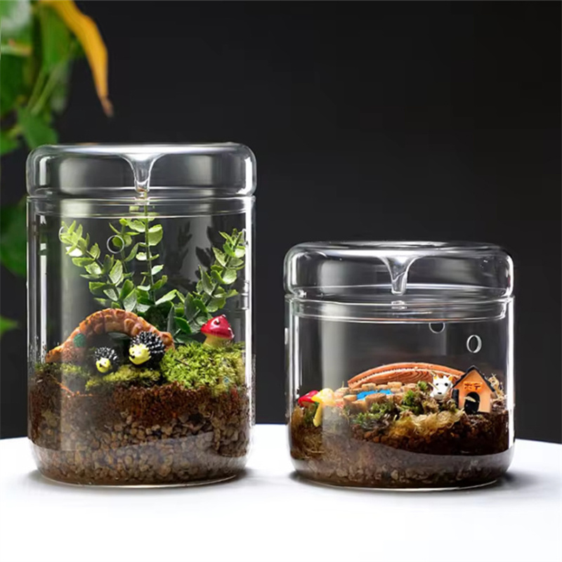 ガラスボトル創造露コレクションガラス花瓶マイクロ風景多肉植物苔万歳風景ガラステラリウム家の装飾