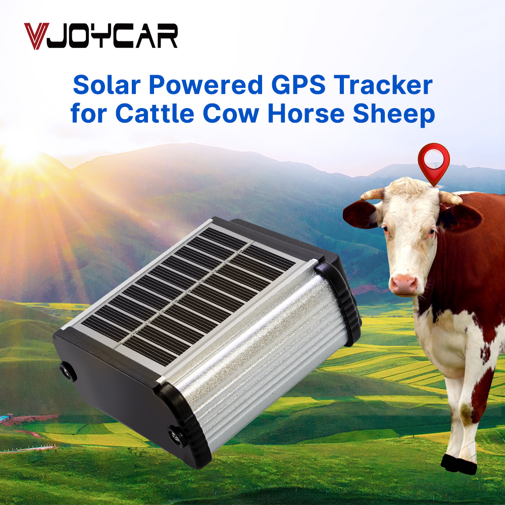 Vjoycar 2023 新しいソーラー GPS トラッカービッグバッテリー家畜牛馬ラクダビッグ動物リアルタイム追跡 GSM 牛 Rastreador