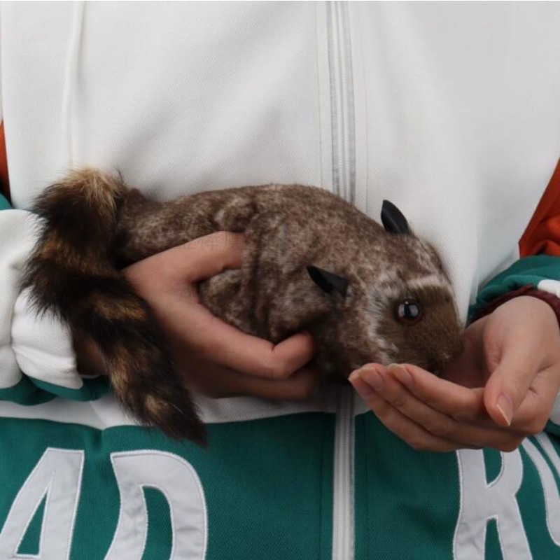 ロッキーアライグマ ロビーマジック アライグマ トリック 小道具 コメディ メンタリズム ギミック 春の動物登場 ステージ マジック 面白い マギア