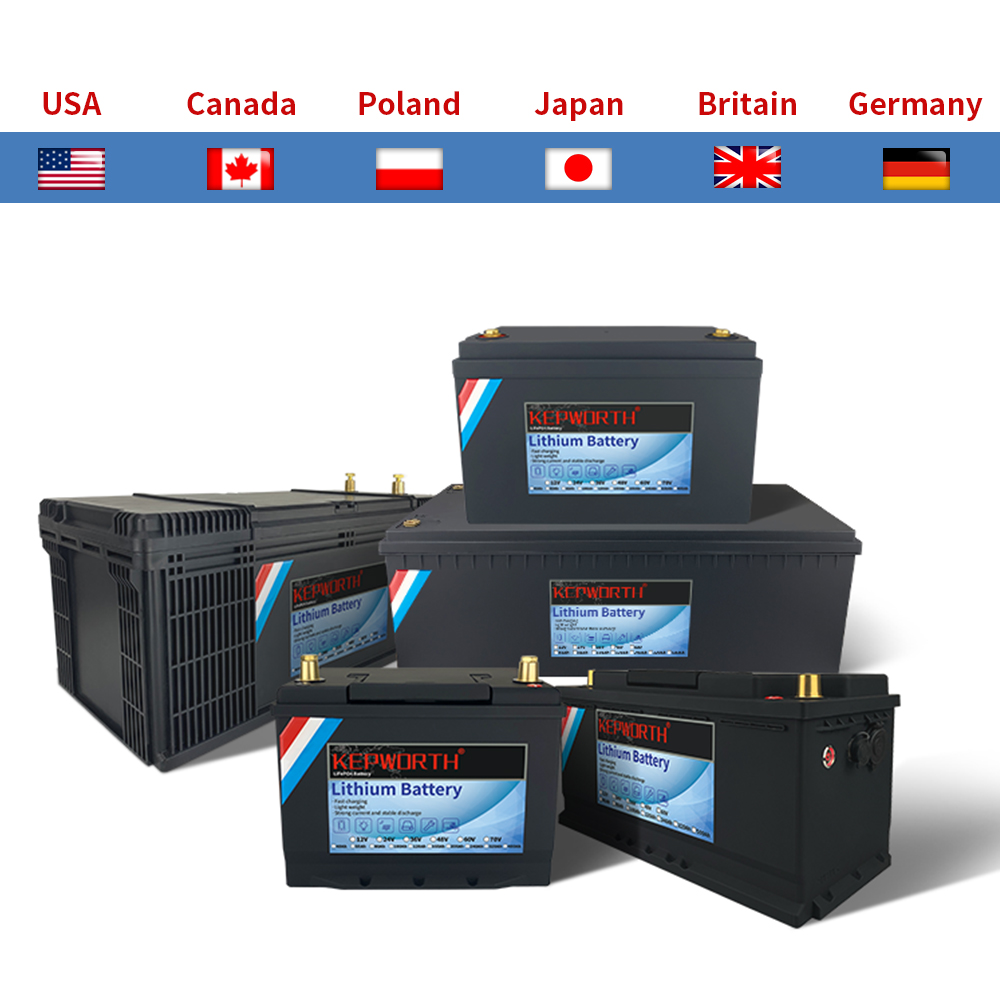 BMS 付き 12V/24V LiFePO4 バッテリー - 30/50/100/120/135/300Ah ゴルフカート、ソーラー、RV、EV 用 - 長寿命