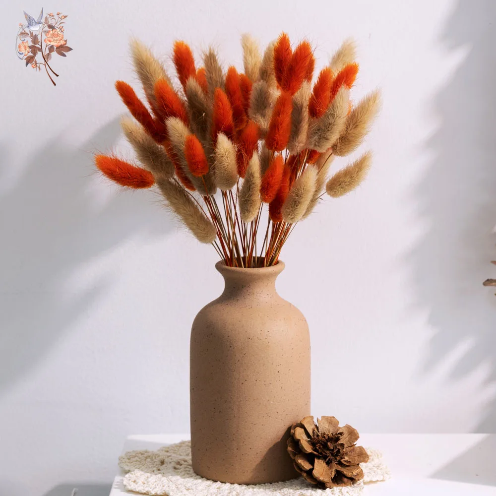 70pcs Mix Rabbit Tail Grass Natural Dried Flowers Bouquet Pampas Lagurus Autumn Floral Wedding Decoration Home Photo Props Decor