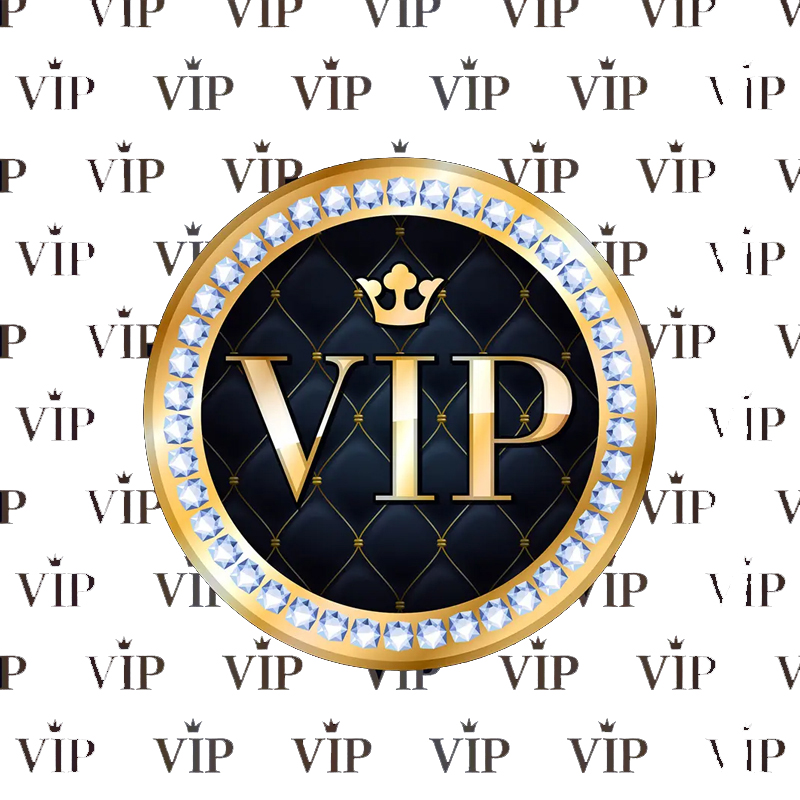vipリンク1差分差分
