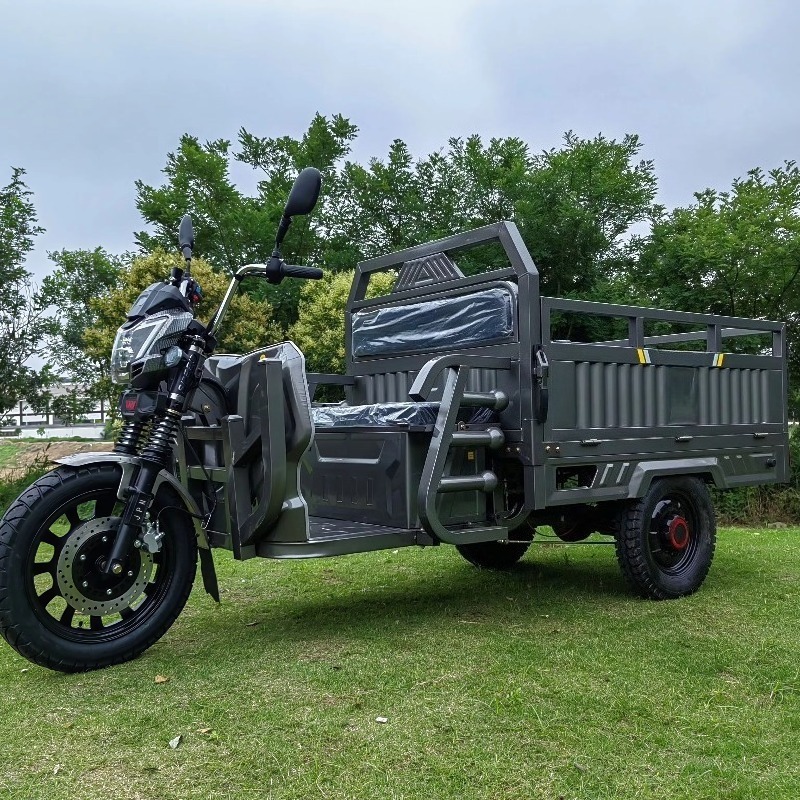 工場供給格安 E-Trikes 3 輪貨物電動三輪車カスタマイズ可能な 3 輪オートバイ商業 3 輪オートバイ