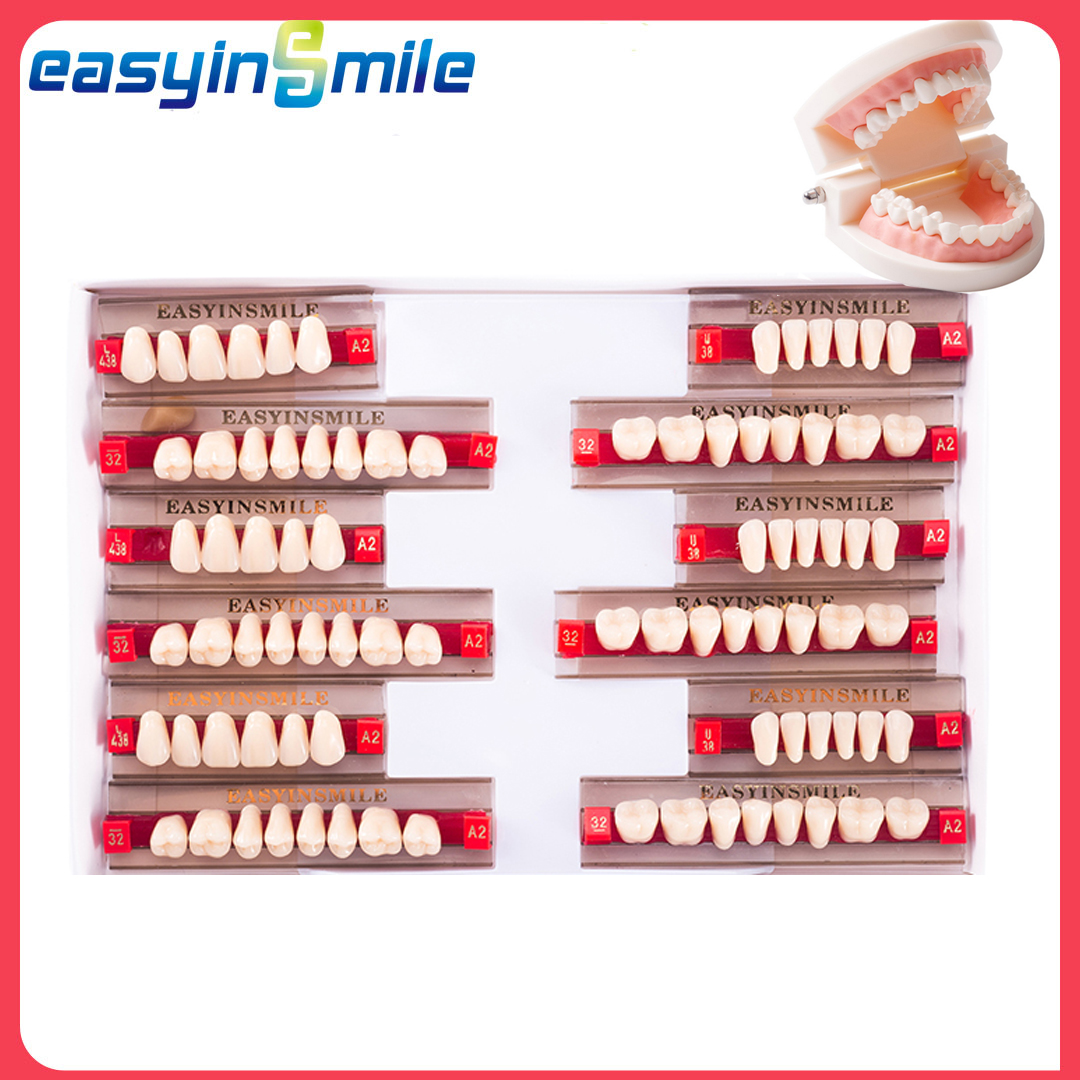 16/12 Sets/ Box Dental Teeth Anterior Posterior Polymer Denture acrylic Tooth A2 A3 2 Layers Dentistry Materials Education Model