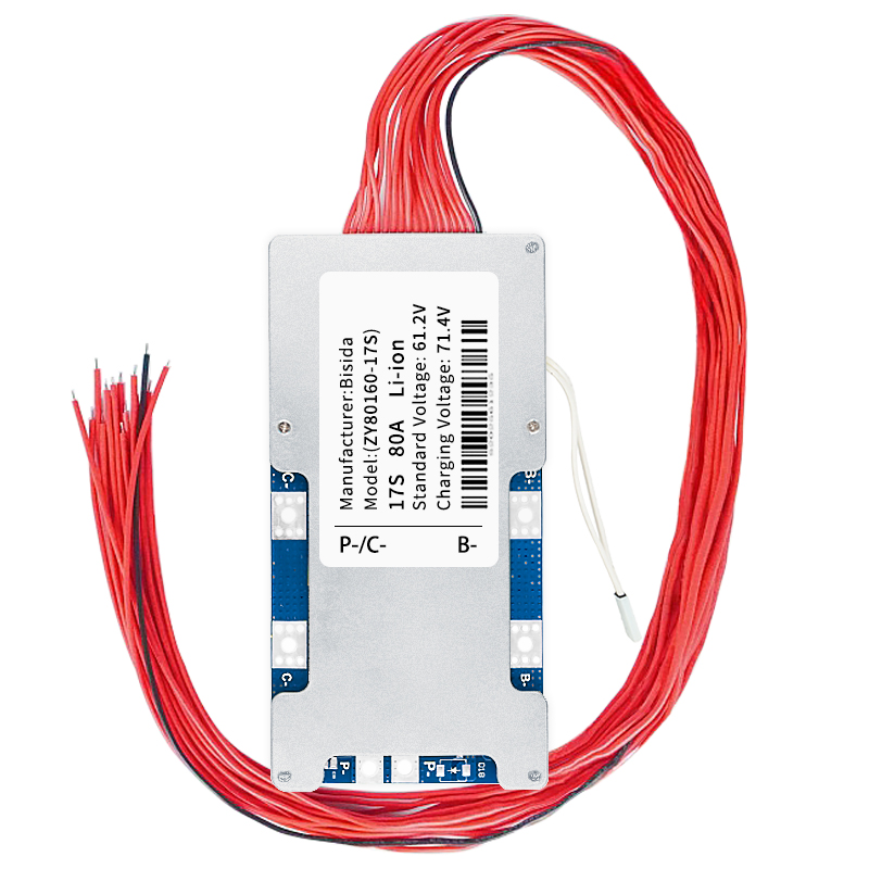 Bisda 17S BMS 60V 20A/30A/50A/100A バランスワイヤーと NTC 付きリチウム PCB 保護ボード、共通ポート、10 保護機能