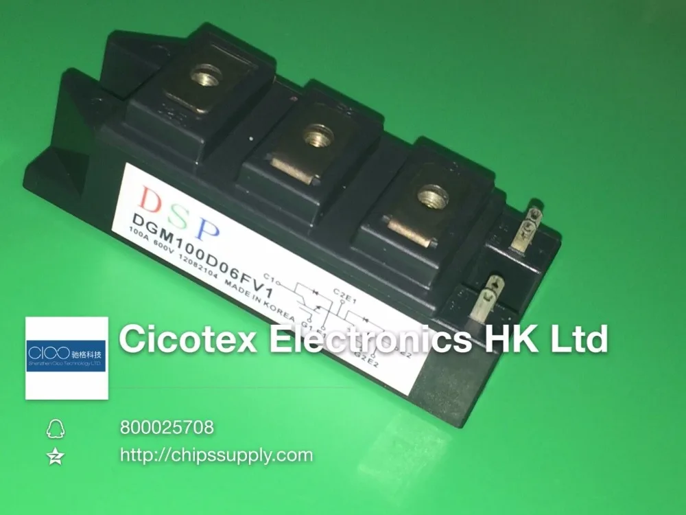 DGM100D06FV1 モジュール 100A 600V DGM100D06 FV1 DGM100D 06FV1 IGBT DGM100D06FV 1 DGM100 D06FV1 DGM 100D06FV1 DGM100D06FVI