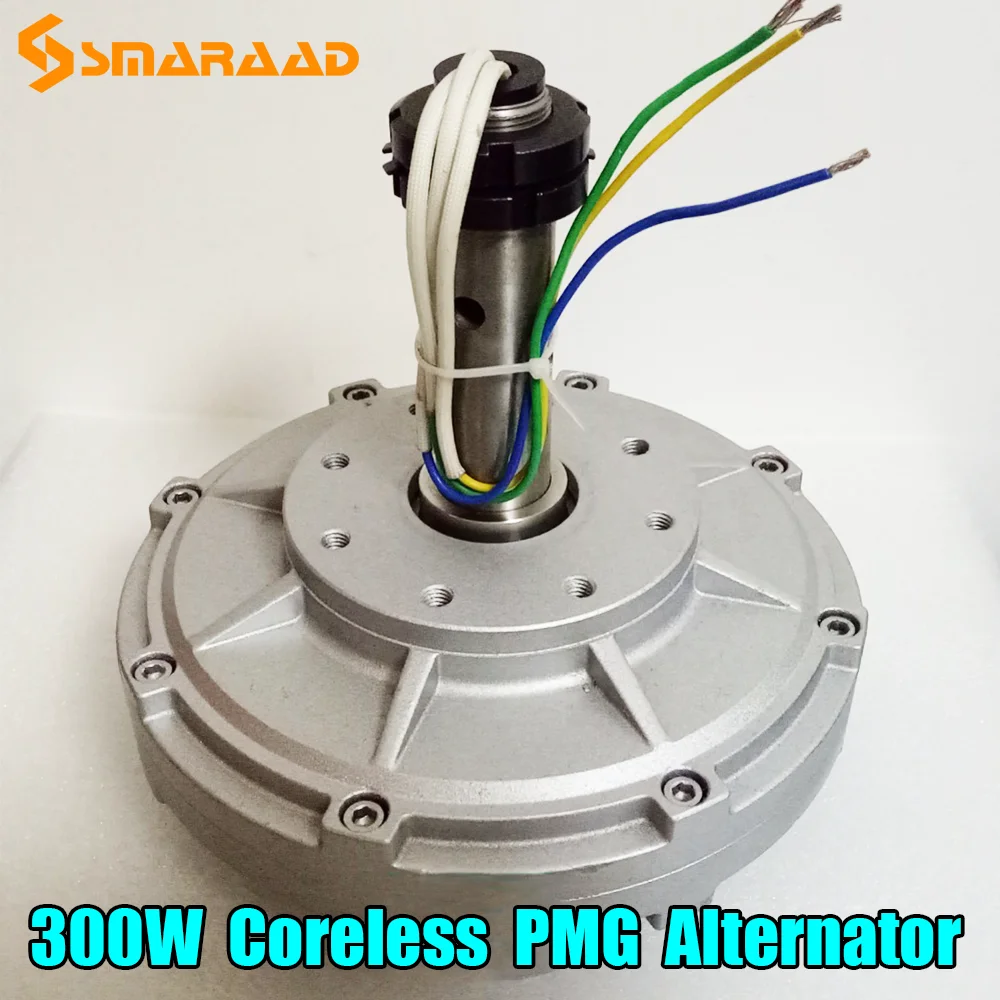 100 ワット 200 ワット 300 ワット三相永久磁石発電機 12 V 24 V 48 V 低速ダイレクトドライブ風力タービンオルタネーター CE 認定