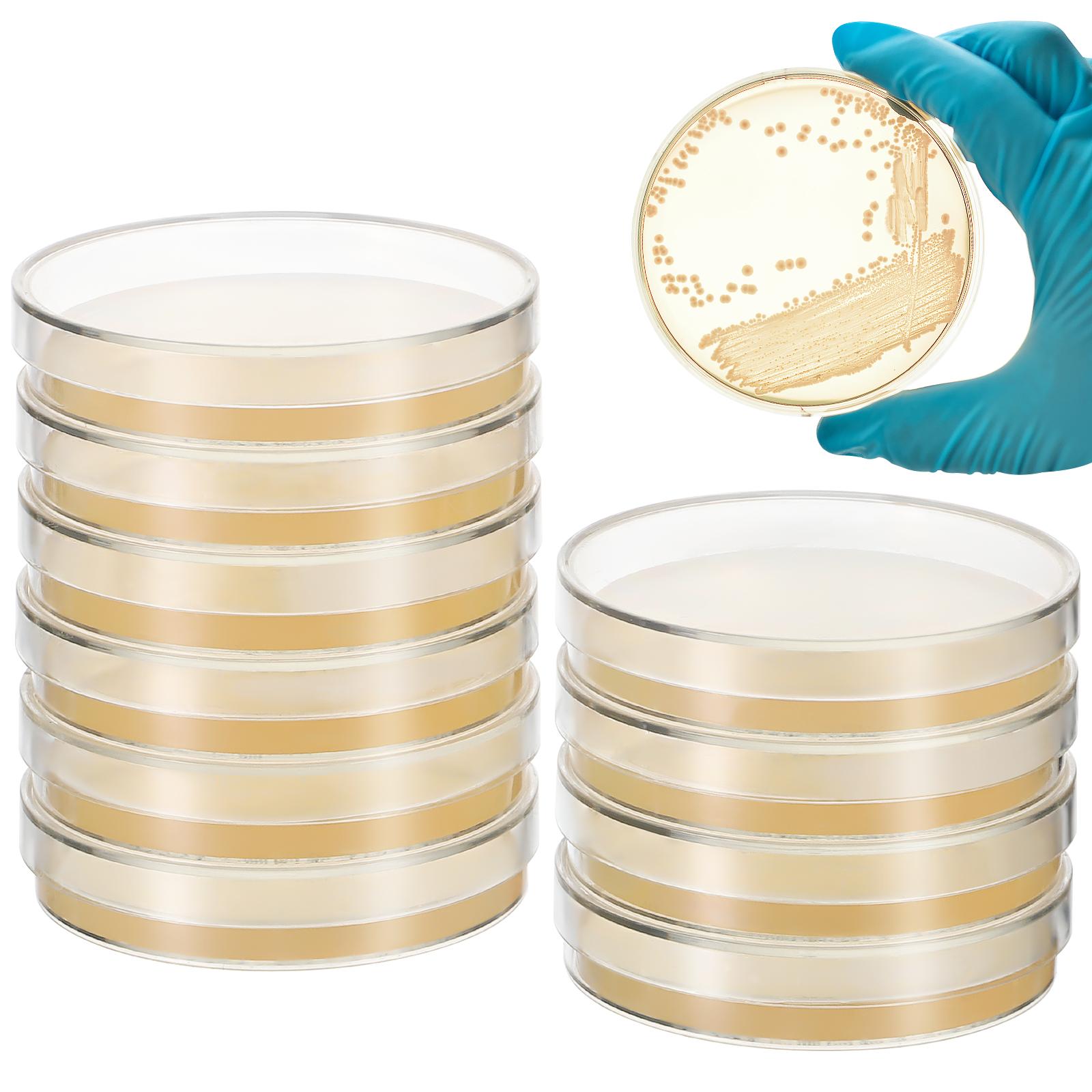 10 Pcs Nutrient Agar Plates Petri Dishes 7cm Pre Poured Science Tools STEM Education Microbiology Nutritional AGAR plates