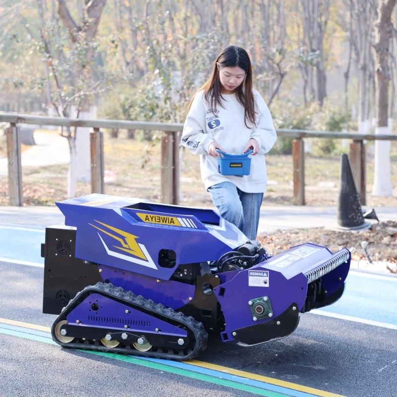 カスタマイズされたロボット林業側溝機自動コードレスワイヤレス庭の芝刈り農業リモコン芝刈り機