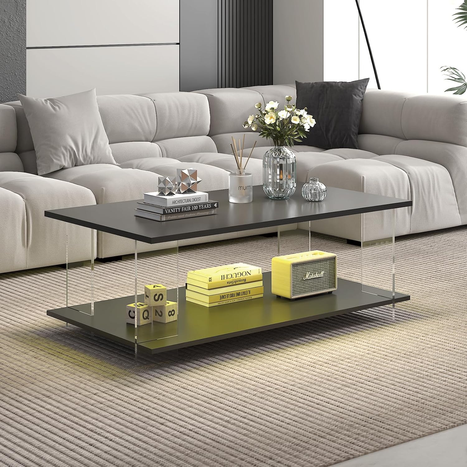 43" Acrylic Coffee Table Black Wood Top Minimalist Modern Rectangular Center Table LED Storage Shelf Small Space, Customized