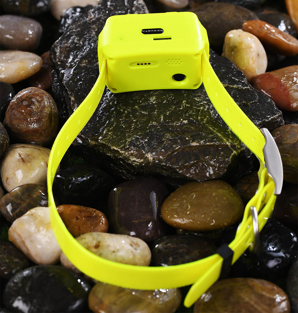 IK122M Pro Hunting Dog GPS Collar Free Tracking APP