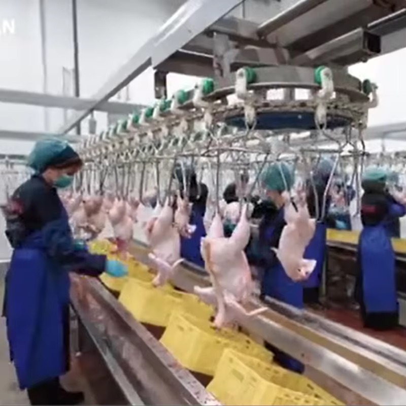 Custom Poultry Automatic Processing Equipment for Slaughter House Manufacturing Plant Poultry Slaughter Line