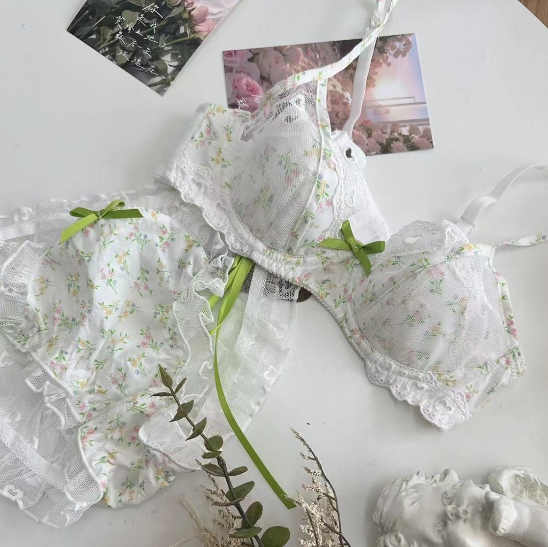 Romantic French floral lingerie soft underwire comfortable French sweet bra set