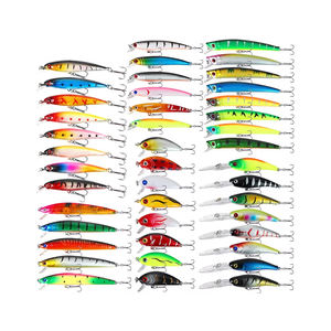 海水魚、サーモンミックス、小型魚用クランクベイト、ポップコーン、ペンシルツイスター、スプーン、ロッカー、バス用釣り餌56点セット