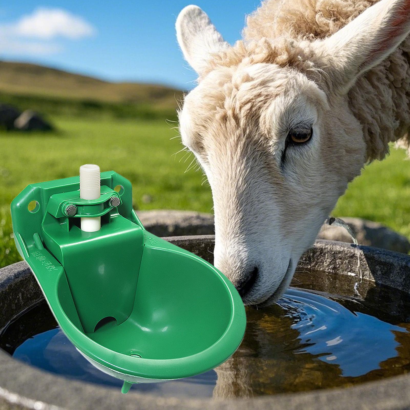 ヤギ水トラフ自動水ボウル酒飲み銅バルブ付き 500 ミリリットルヤギ馬給水器噴水農場家禽犬用