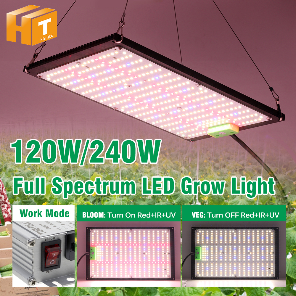 AC100-277V LED 成長ライト高輝度 120 ワット 240 ワット LM301H LED チップ成長ランプ温室屋内植物用