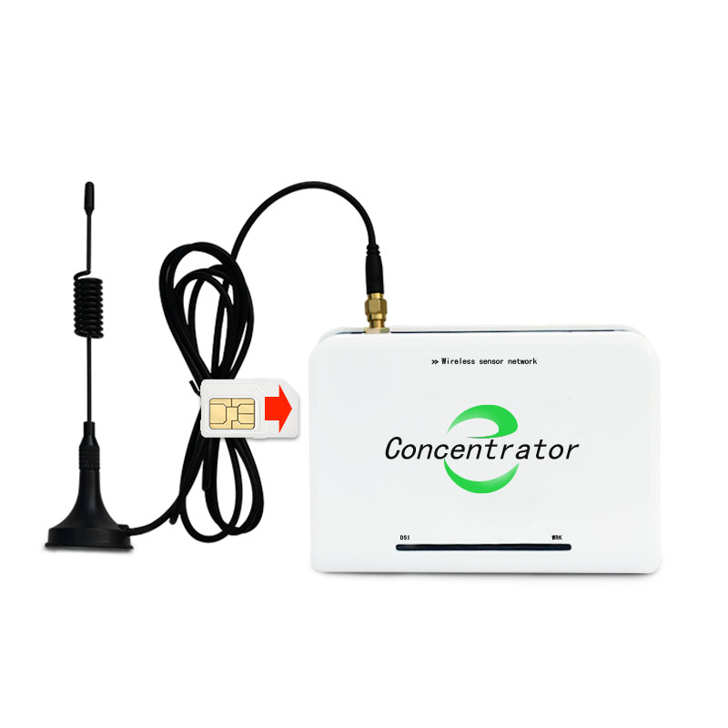 4G Lora ゲートウェイ/ハブ LoRa ワイヤレス土壌温度湿度ライト CO2 O2 センサー XZ-DSG4