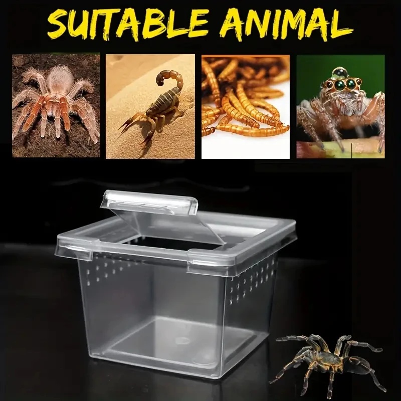 透明ポータブル爬虫類昆虫飼育ボックス小型ペット観察容器ベストセラークモトカゲ保存容器