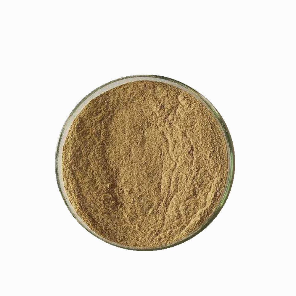 bacillus amyloliquefaciens 200g 作物の病気に対する抵抗力を向上させるための土壌改良