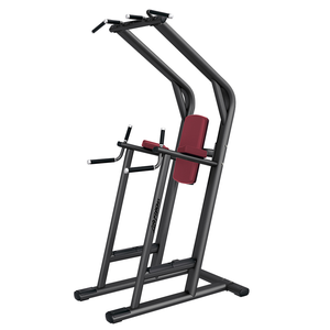 安全機能を備えた、フラットベッド式のディップおよびレッグレイズ運動器具。フィットネスと筋力トレーニングに最適です。