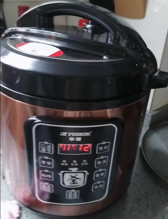 220V 多機能電気圧力鍋 スープとご飯用 スマートコントロール付き ミニサイズ 5～6人用 AE