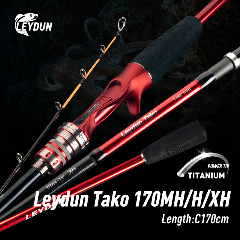 LEYDUN Rang's Tako レイダン タコ 170MH/H 釣り竿 チタンチップ イカ釣り キャスティングロッド イカボート釣り Webfooted