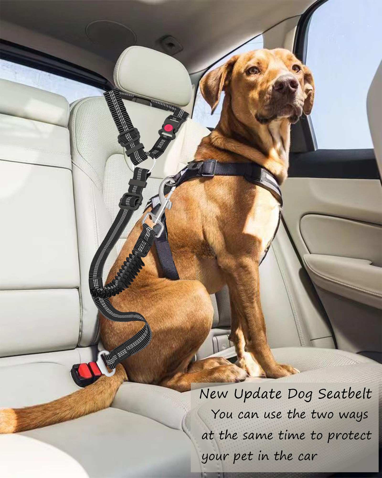 調節可能で丈夫な犬用カーシートベルト - 車の乗車用ストライプナイロン大型犬牽引ロープ
