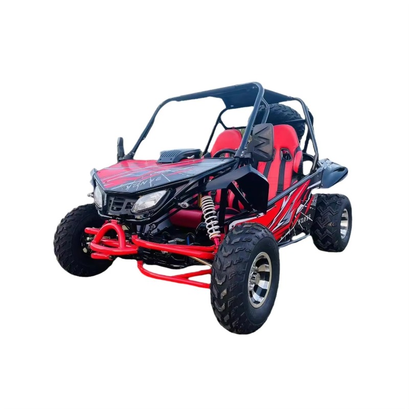 スポーツバージョン 2人乗りビーチバイク全地形オフロードカート4輪独立サスペンション鋼管ペダルゴーカート