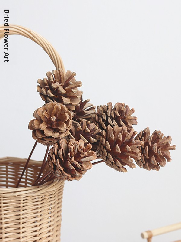 綿松ぼっくりドライフラワーリアルフラワー Seedpod 装飾飾り新中国禅 sle 装飾永遠の花