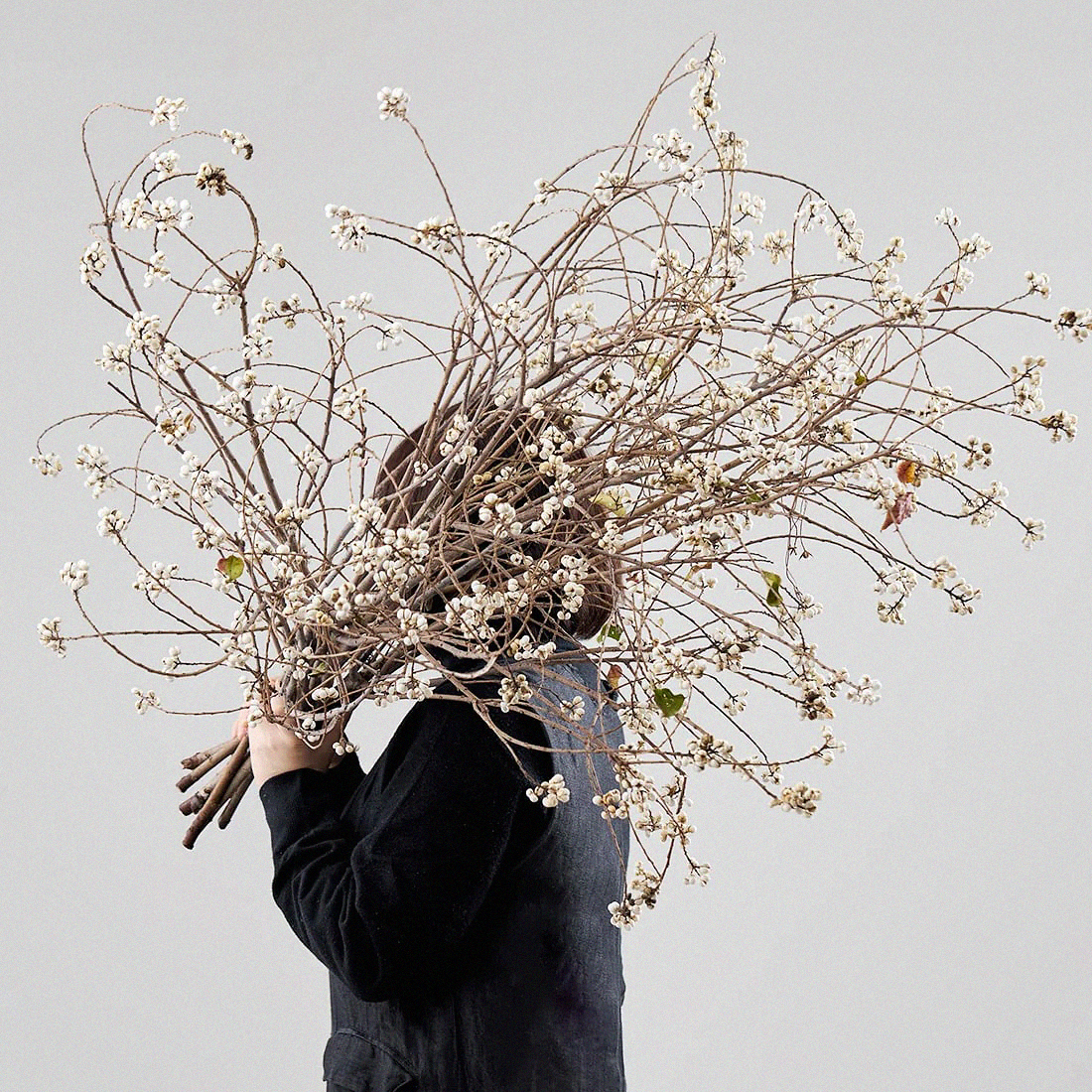 天然苗木フルーツドライフラワー永遠の花の花束リビングルームのデスクトップの装飾装飾品高級感のあるフラワーアレンジメント...
