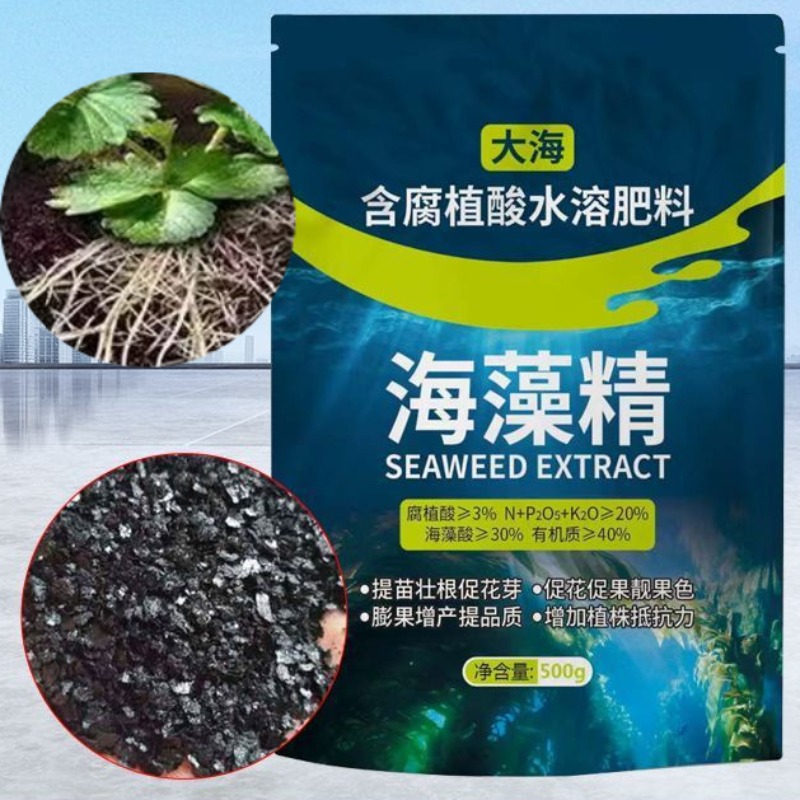 500 グラム黒シート状有機高純度海藻エキス水溶性肥料植物の根の成長を促進土壌を改善