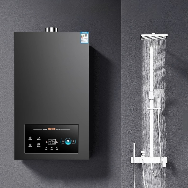 12L 家庭用天然ガス LPG 給湯器定​​温強制排気インスタント温水シャワー用