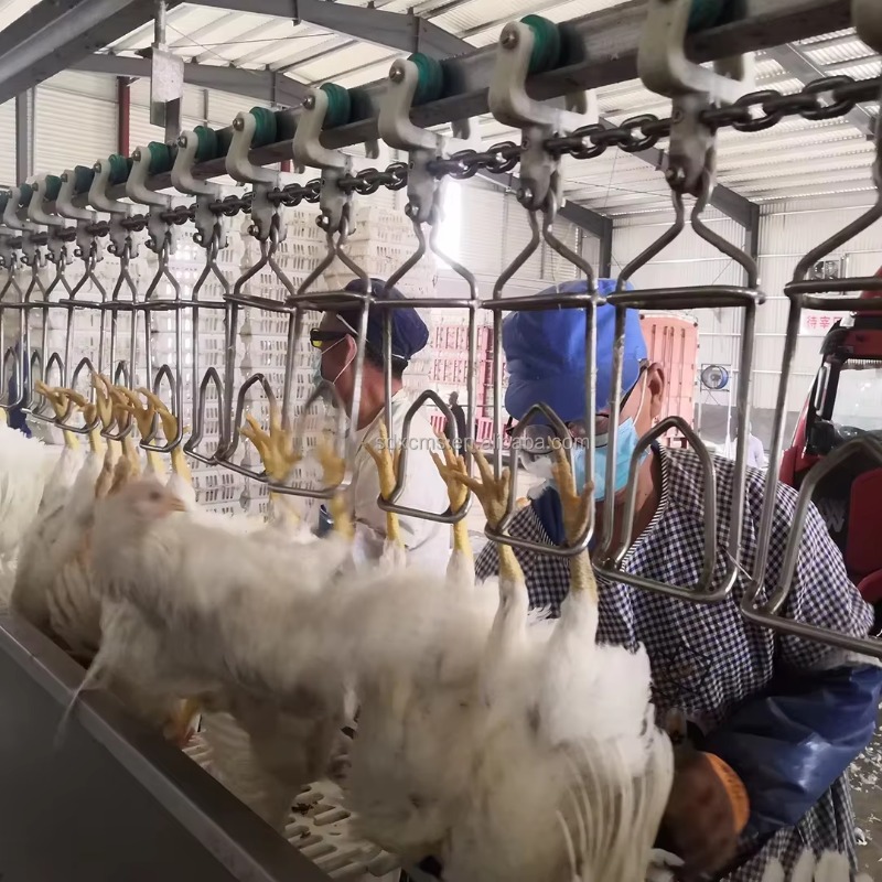 New Pig Sheep Cattle Bird Slaughter SUS304 Poultry Slaughterhouse Processing Machine 300-800bph Core Motor Pump