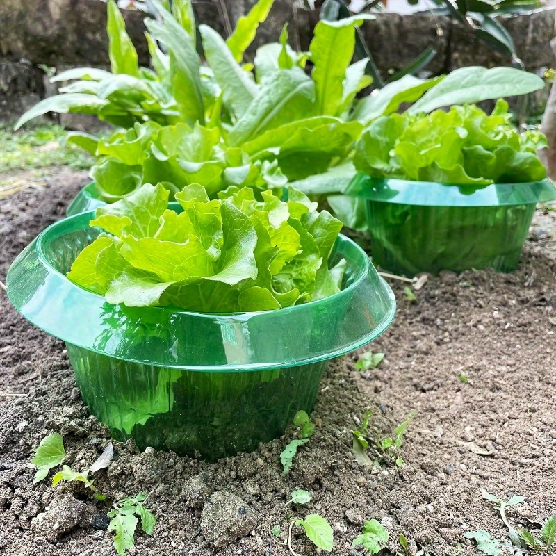 植物ナメクジ保護リング野菜カバー植物カタツムリ首輪ガードグリーンプランター植木鉢害虫駆除トラッパーガーデンツール