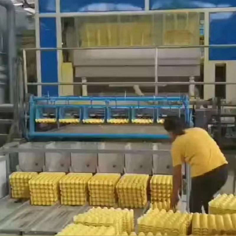 Customized Waste Paper Bagasse Straw Making Pulp Egg Carton Box Tray Molding Machine Egg Tray Making Machine