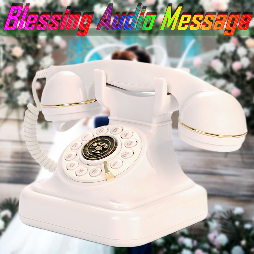 音声メッセージブック 電話 結婚式ゲスト 音声祝福メッセージブック 宴会 音声チェックインメッセージ 電話 誕生日パーティー お祝い
