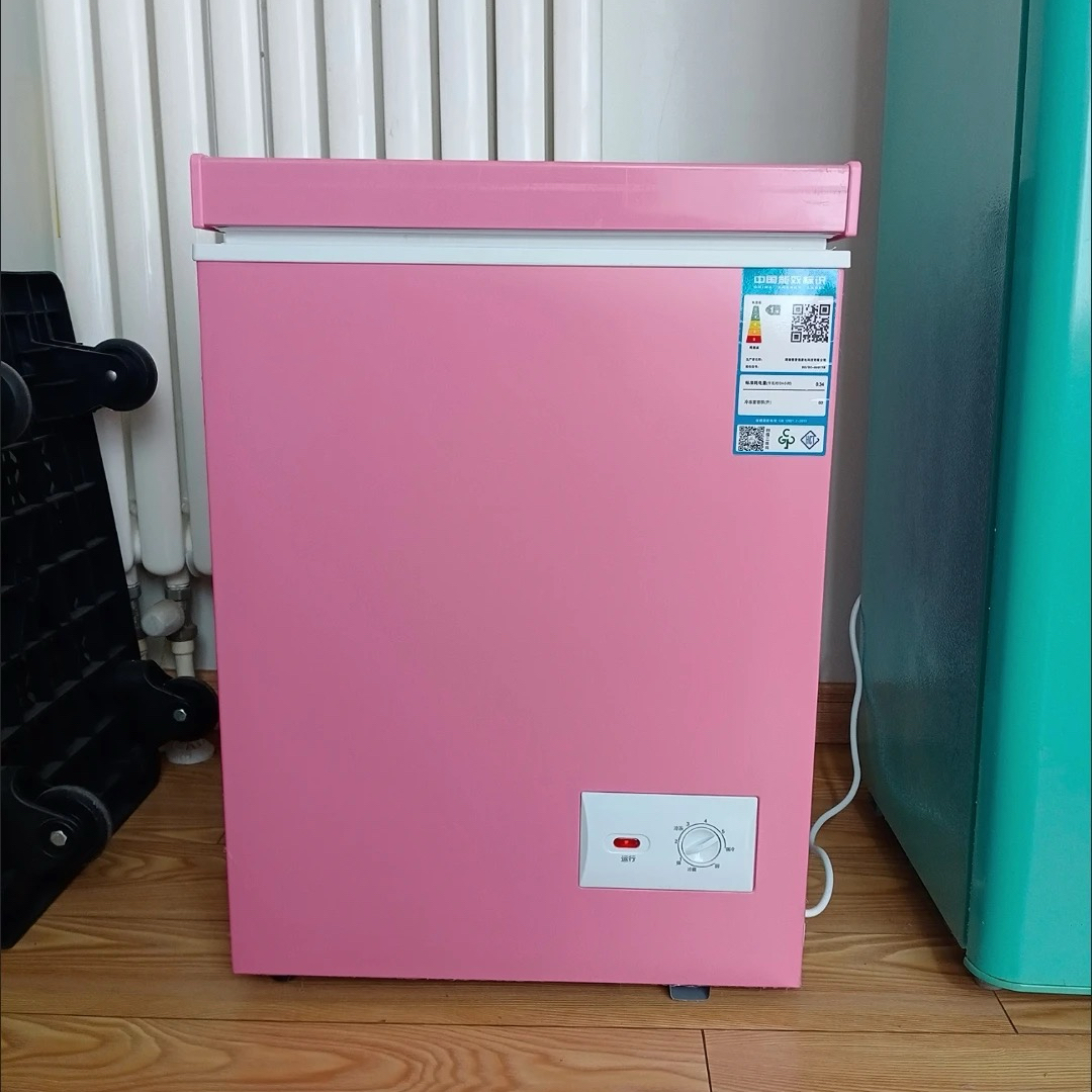 60L 冷蔵庫家庭用冷蔵庫ジェラデイラ冷凍庫ミニクーラーアイスクリーム冷凍庫冷蔵庫ポータブル