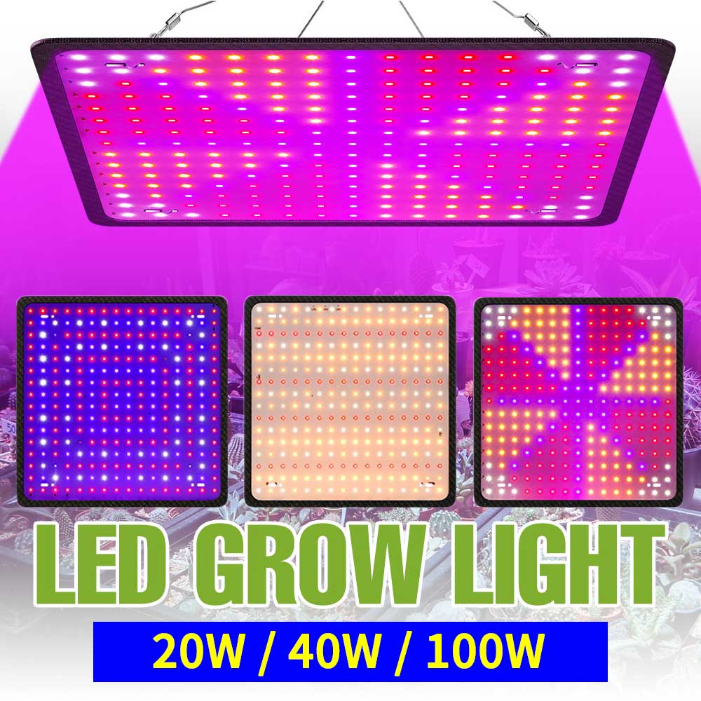 植物成長ライト LED フルスペクトル量子ボードランプ屋内花温室野菜栽培水耕栽培ライト