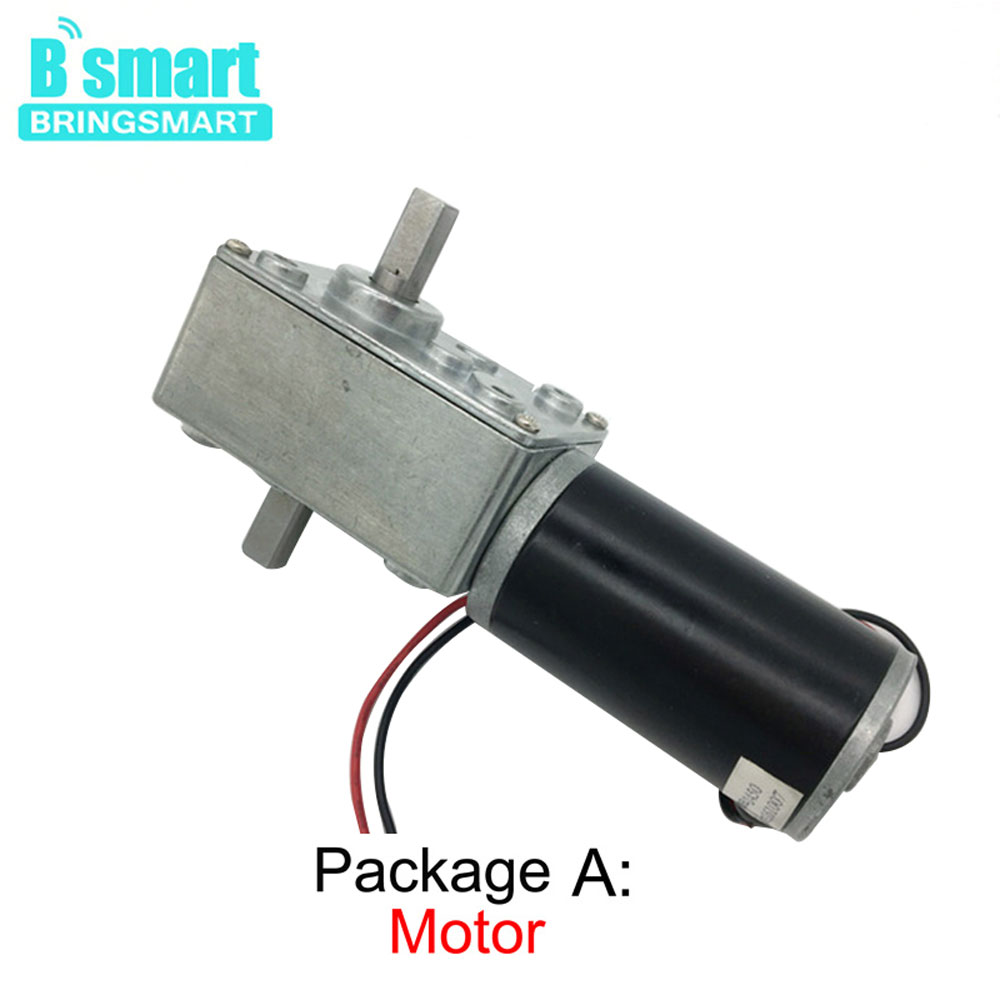 Bringsmart A58SW31ZYS DC ウォームギアモーター 12-24V ダブルシャフト減速機セルフロック Gerabox 可逆マイクロモーター 5rpm カスタマイズ