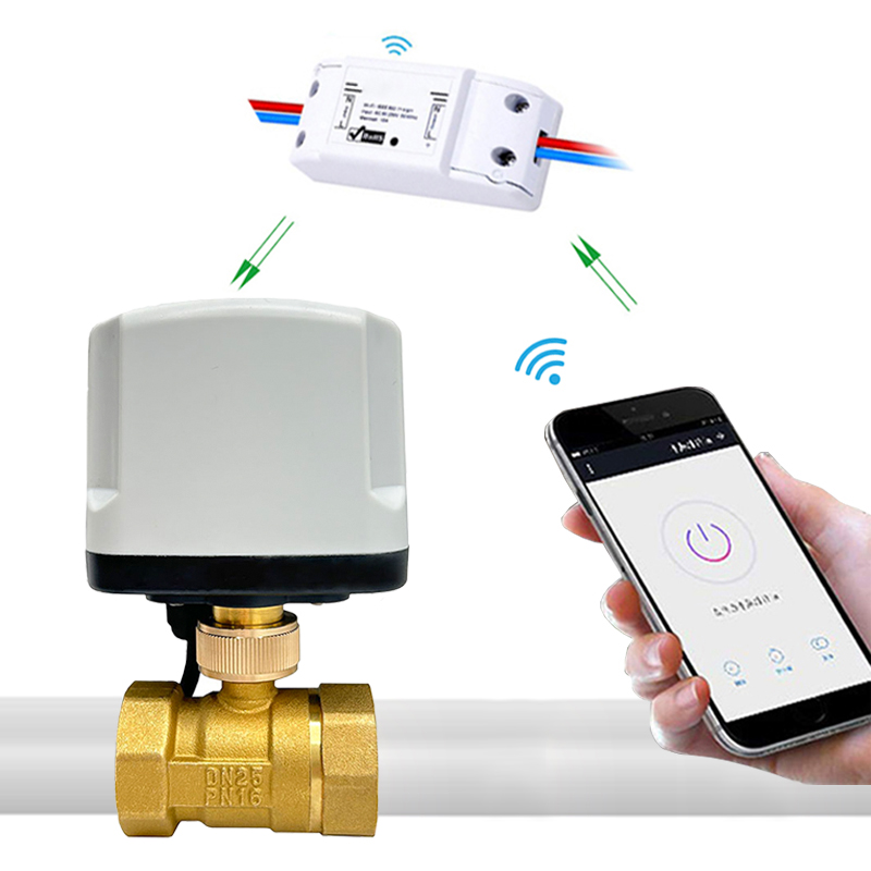 Tuya WiFi スマート タイミング スイッチ電動ボール バルブ AC220V 水自動バルブ コントローラーは Alexa Google ホームで動作します