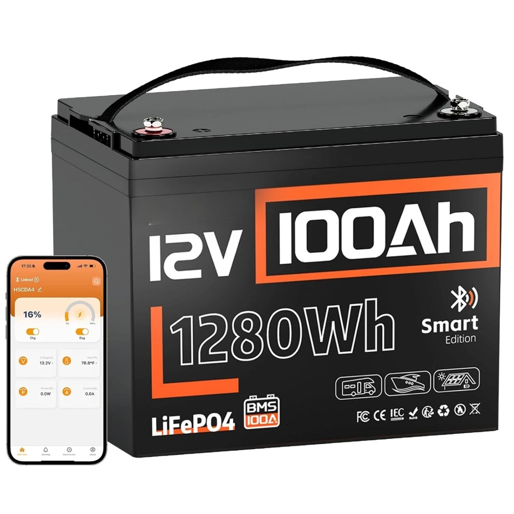 Bluetooth 付き 12V 100Ah LiFePO4 リチウム バッテリー (グループ 24)、15000 ディープ サイクル バッテリー、内蔵 100A BMS、カスタマイズ