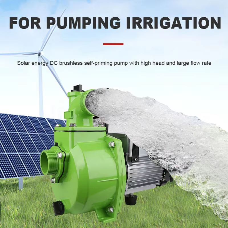750 ワット 1500 ワット 2HP ソーラー地上ポンプ高リフト大流量大型農業灌漑水ポンプ自吸ポンプ