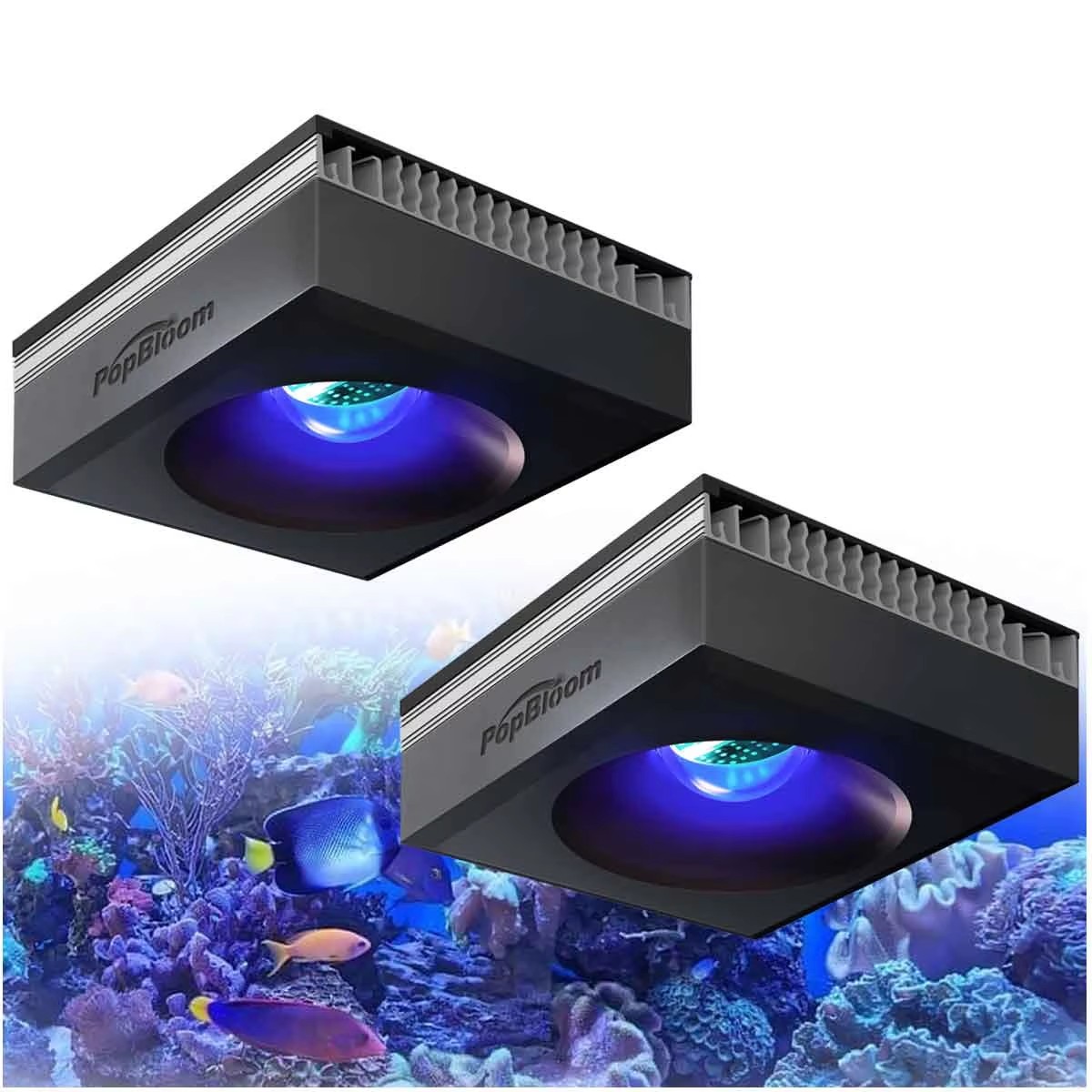 PopBloom RL90 WiFi リーフアクアリウムライト 100W、プロフェッショナル海洋水族館 LED フルスペクトル サンゴ礁サンゴ SPS/LPS 水槽 LED 用