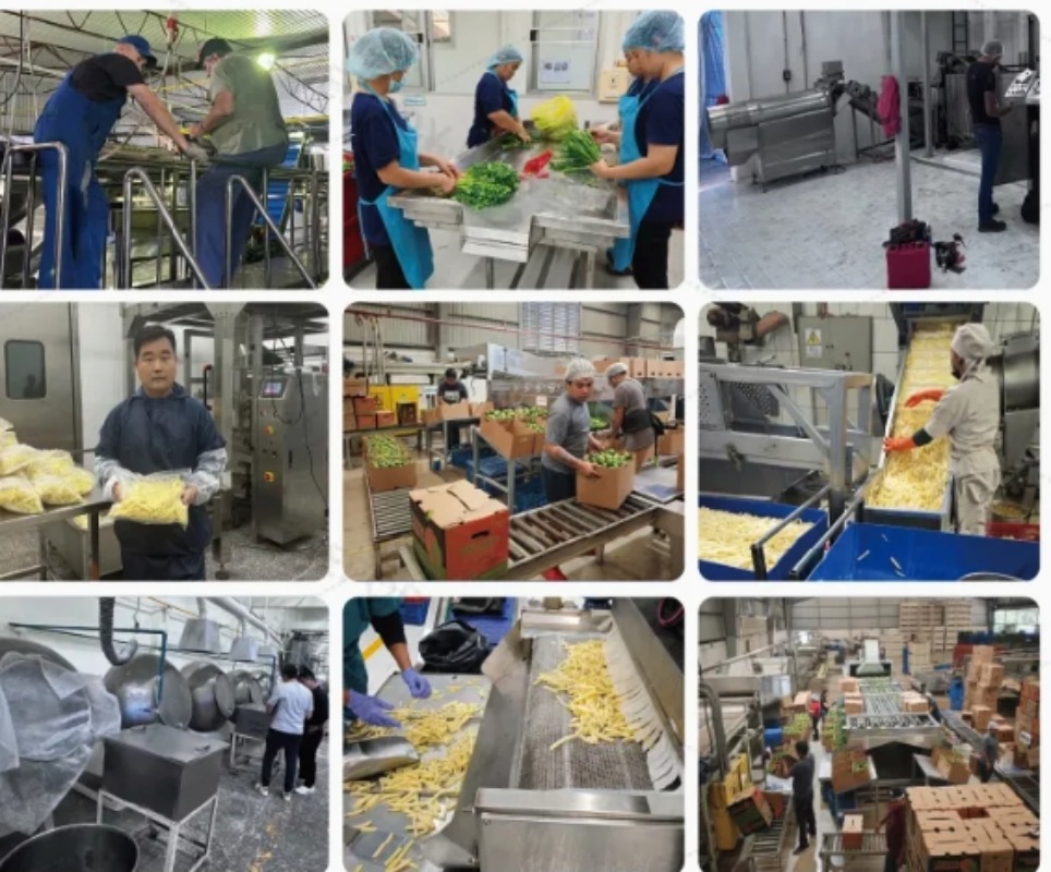 魚介類・野菜類のトンネル冷凍庫